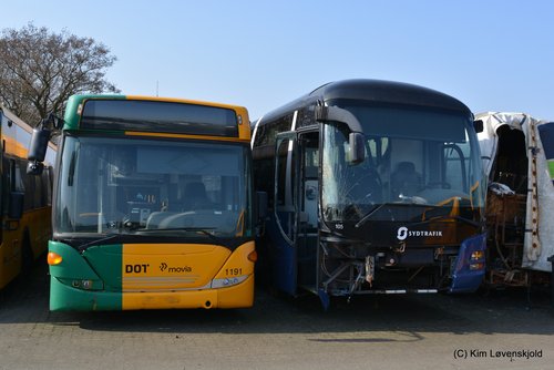 2012' Scania CK280UB OmniLink & 2007' MAN Lion's Regio L