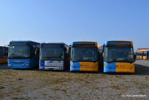 Buses
