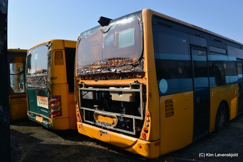 54380646519