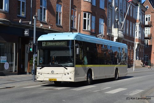 2023' Golden Dragon Pivot E12