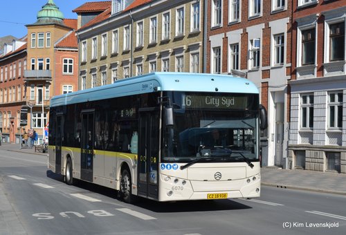 2022' Golden Dragon Pivot E12
