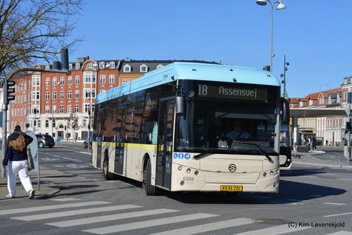 2022' Golden Dragon Pivot E12