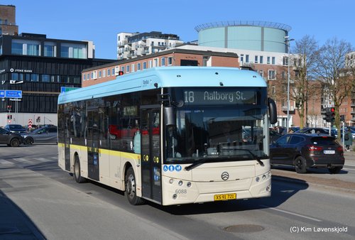 2022' Golden Dragon Pivot E12