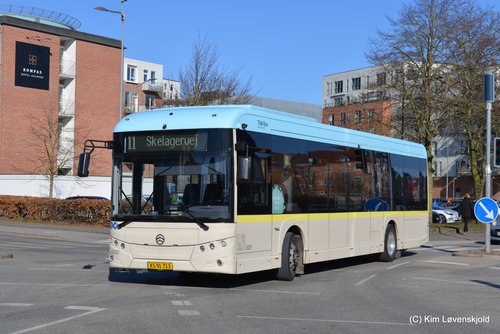 2022' Golden Dragon Pivot E12