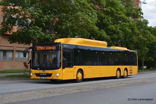 2019' MAN Lion´s City L LE