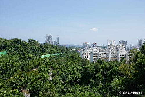 View from Telok Blangah Hill Park