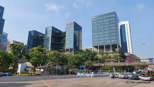 Looking at Upper Pickering St. at Hong Lim Park