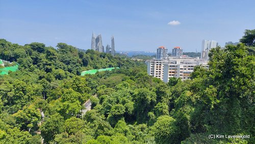 View from Telok Blangah Hill Park