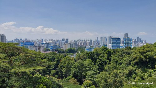 View from Telok Blangah Hill Park