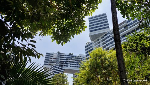 The Interlace apartment buildings