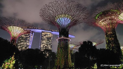 Gardens by the Bay