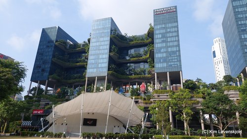 Upper Pickering St. at Hong Lim Park