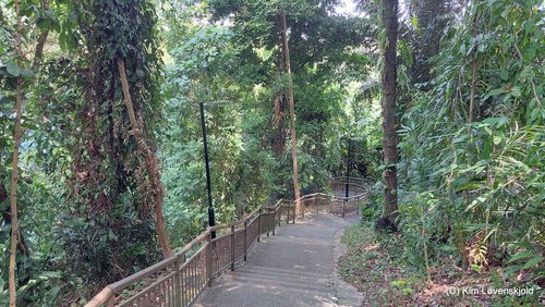Telok Blangah Hill Park