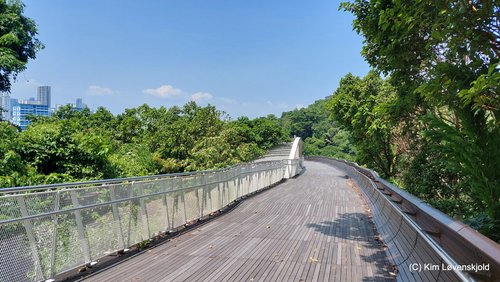Telok Blangah Hill Park