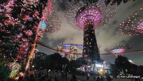 Gardens by the Bay