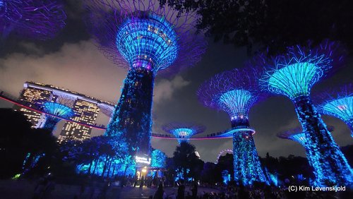 Gardens by the Bay