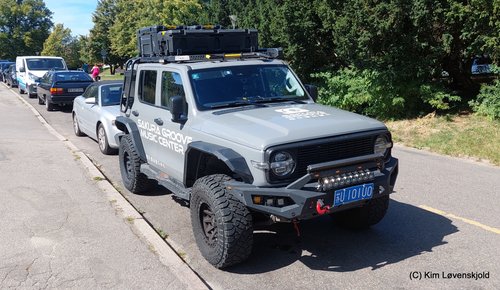 Tank 300