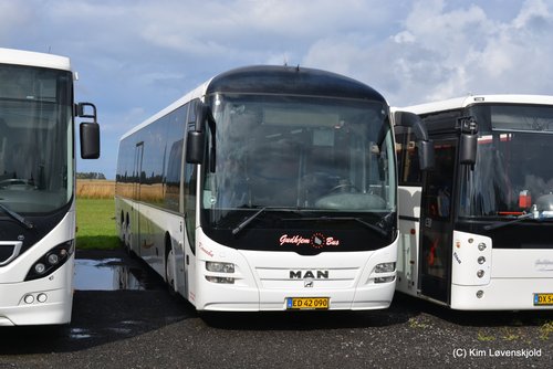 2011' MAN Lions Regio L