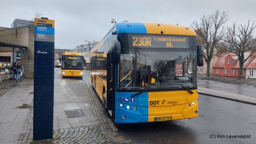 2022' Golden Dragon Pivot E12C
