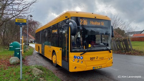 2022' Golden Dragon Pivot E12C
