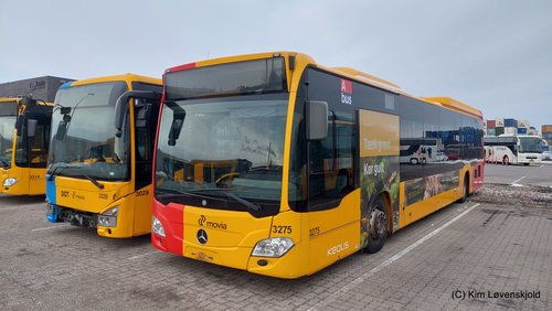 2019' Irisbus Crossway LE & 2015' Mercedes Citaro C2 LE MÜ