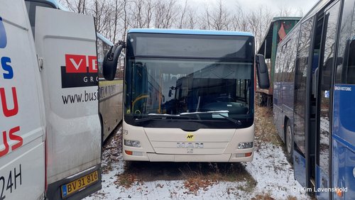 2011' MAN NL323 Lions City L