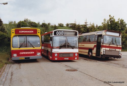 1972' Volvo B59-59 Aabenraa & 1982' Volvo B10M-60 Aabenraa & 1978' Scania BR86-65 Ørum P