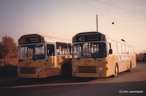 1979' Leyland LS 575-690/5 DAB series 6