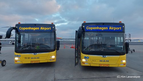 2019' & 2016' MAN NL323 Lion's City L