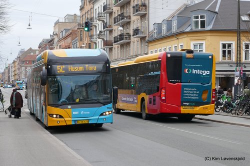 2017' MAN NG313 Lions City GL CNG & 2015' Mercedes Citaro C2 LE MÜ