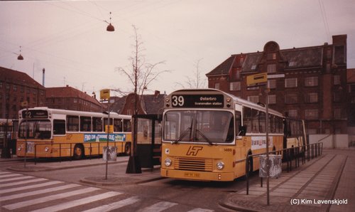 1981' Leyland LS 575-690/5 DAB series 6