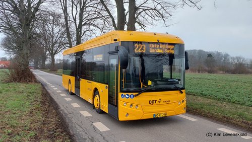 2022' Golden Dragon Pivot E12