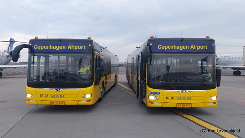 2019' MAN NL323 Lion's City L