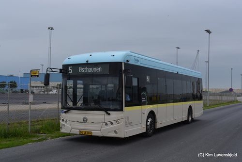 2022' Golden Dragon Pivot E12