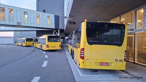 MAN NL323 Lions City L & Mercedes O530L Citaro L