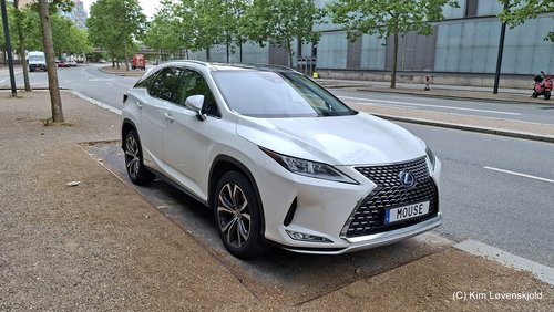 2021' Lexus RX450h