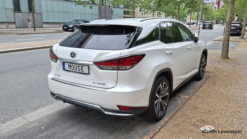 2021' Lexus RX450h