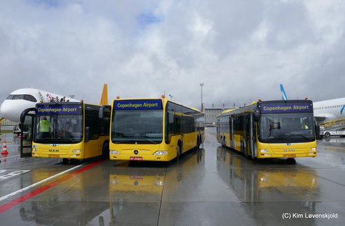 MAN NL323 Lion's City L & Mercedes Citaro L