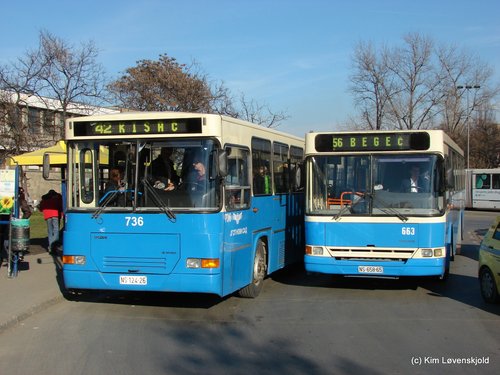 1990' Volvo B10M-55 Neobus 405G & 1998' Volvo B10MA-55 Neobus 405GZ