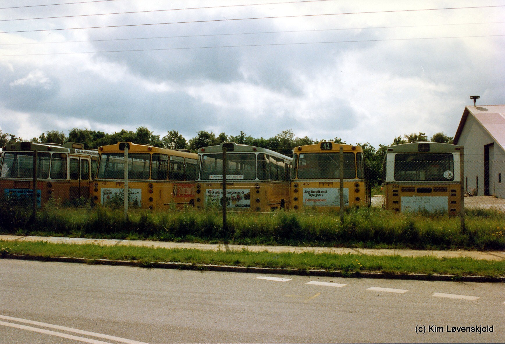 IMG 2010 01 22 (5)