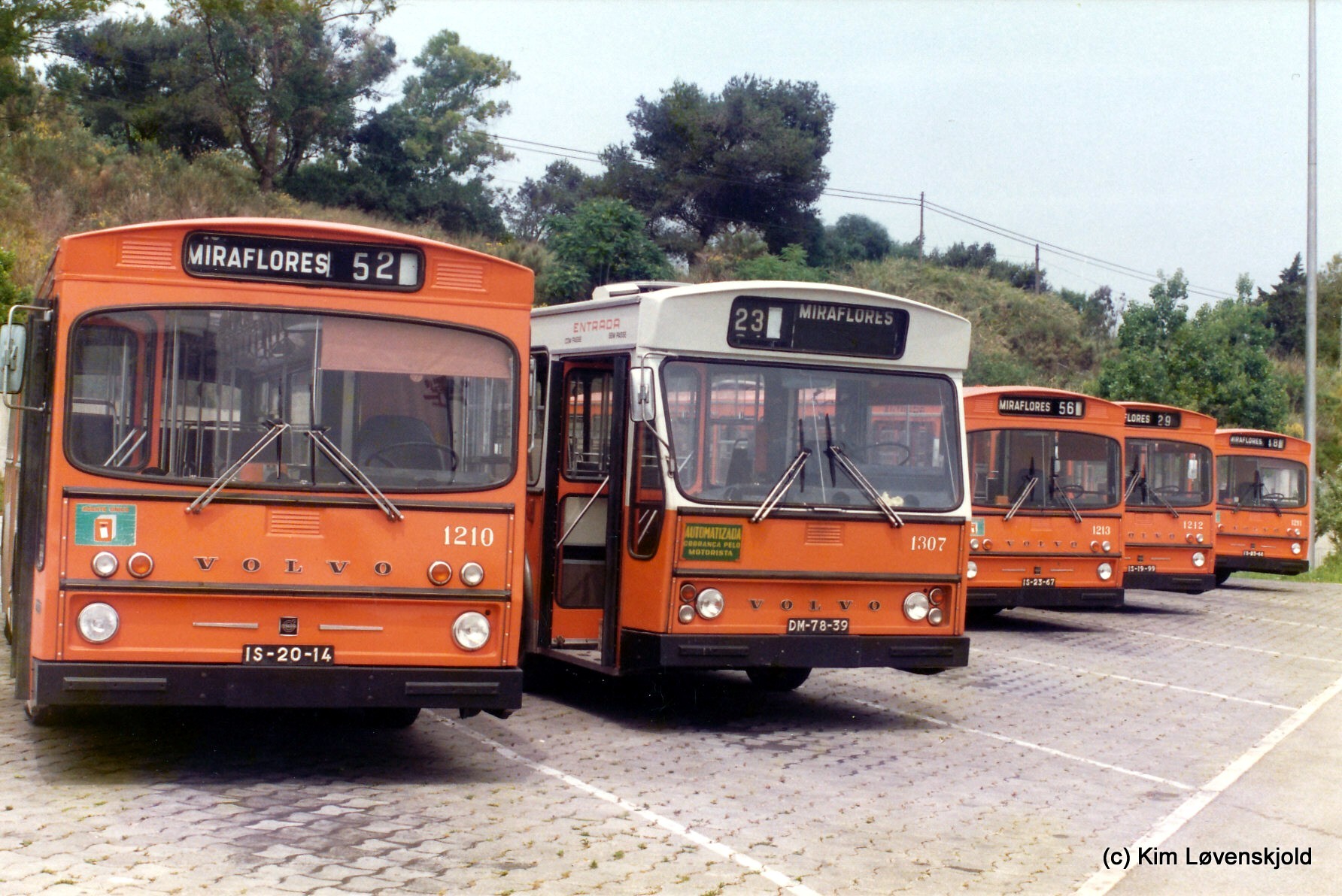 Volvo B59's at Miraflores