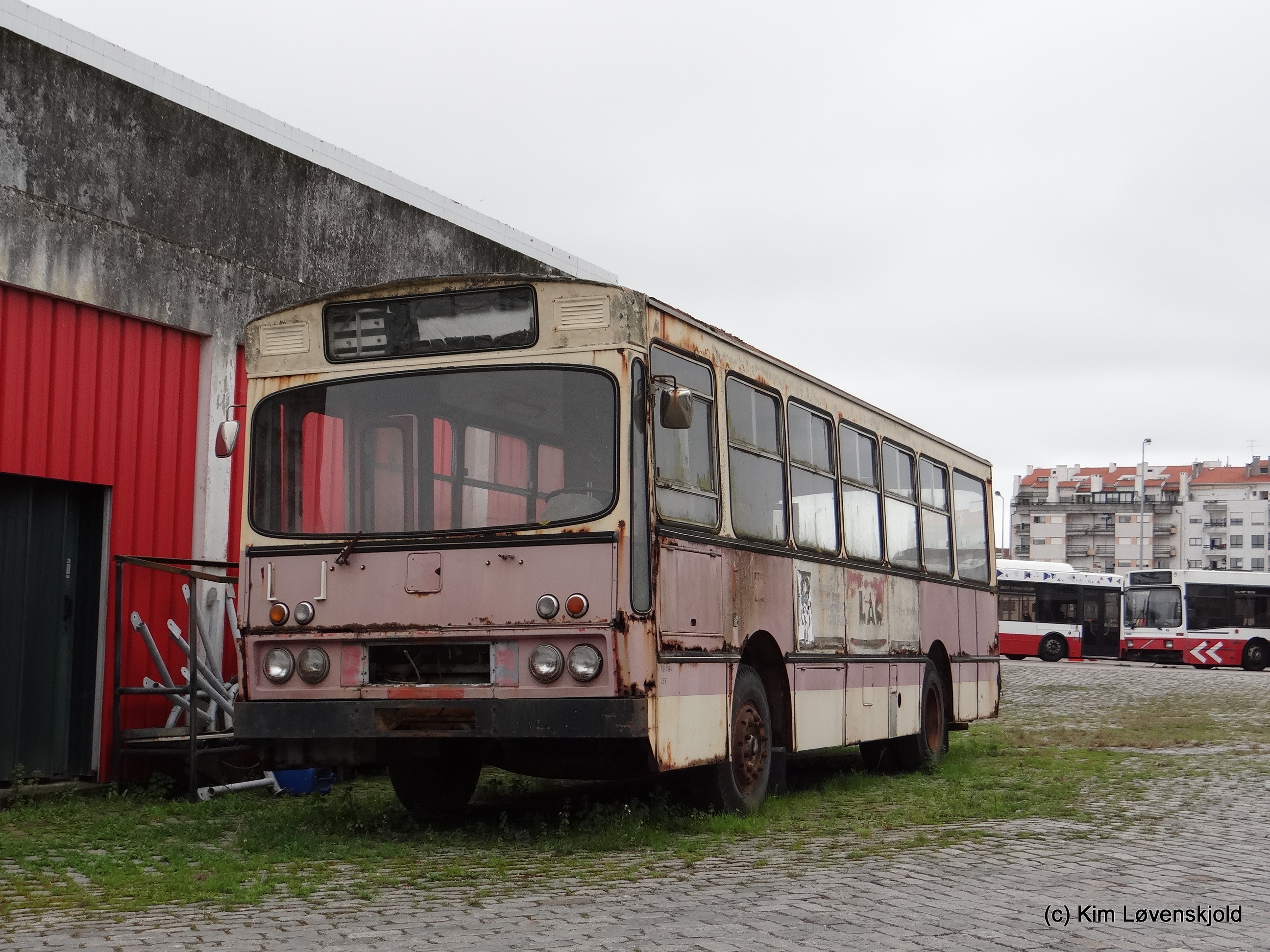AEC Camo