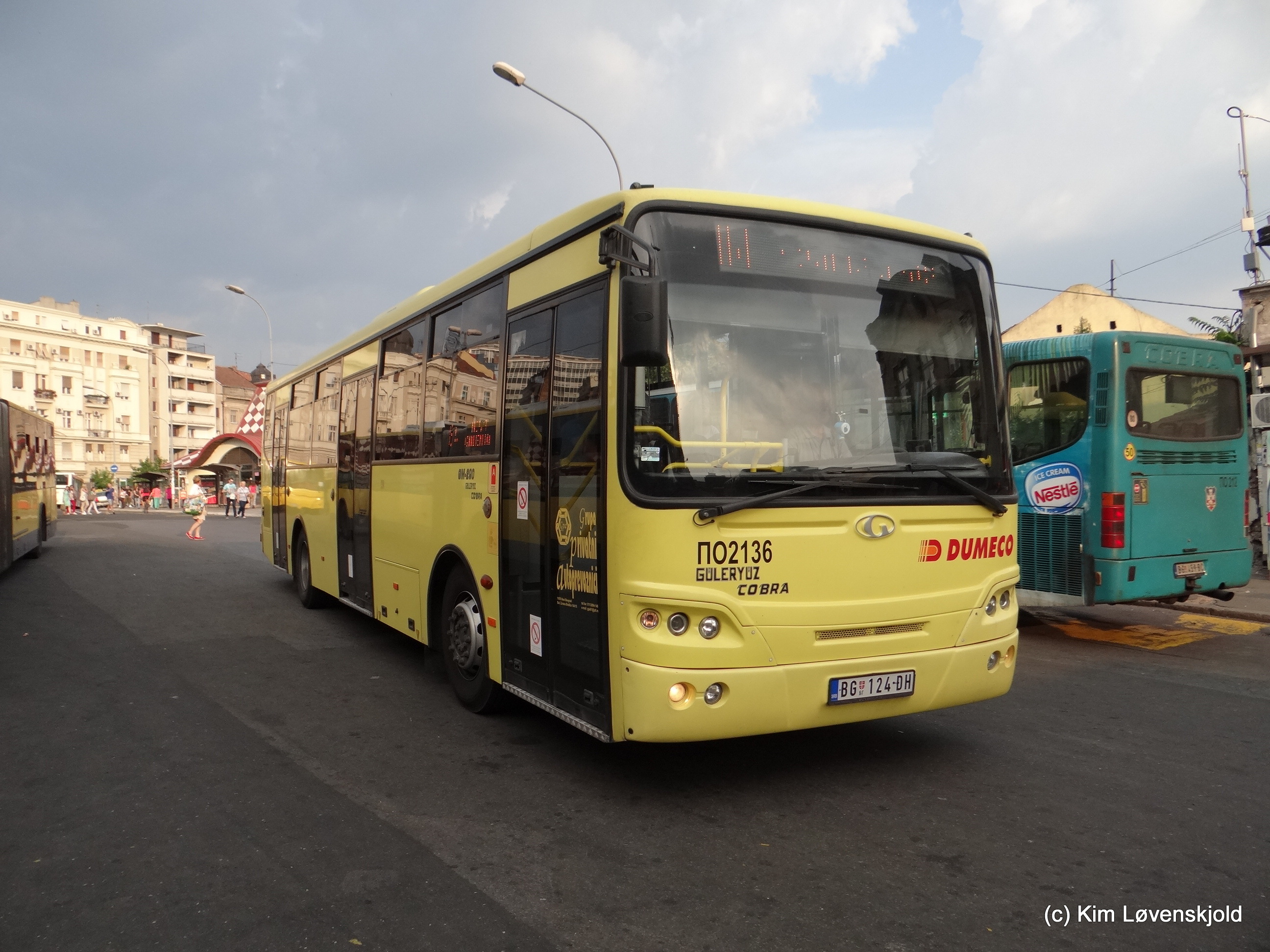 Güleryüz Cobra GM290