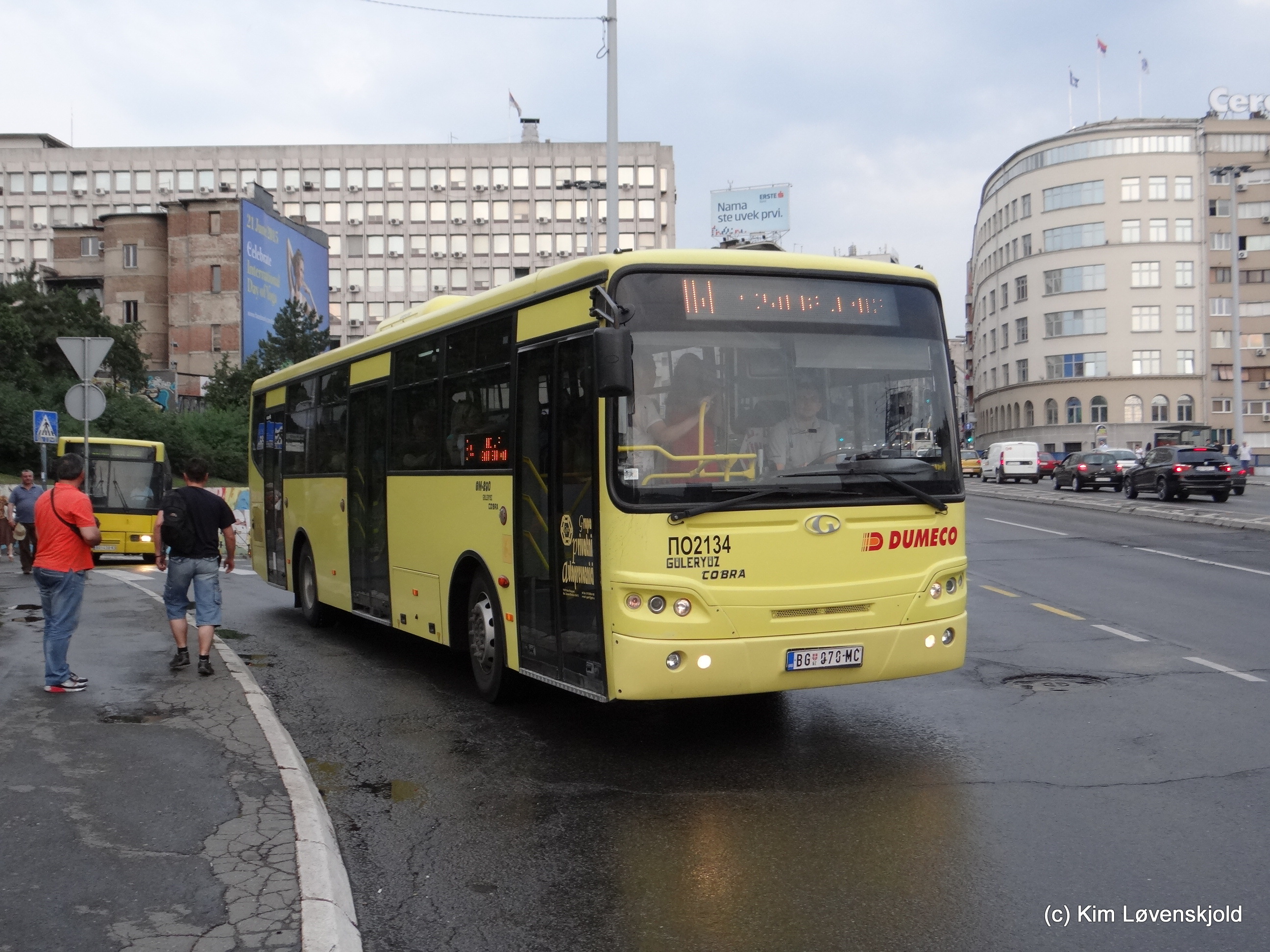 Güleryüz Cobra GM290
