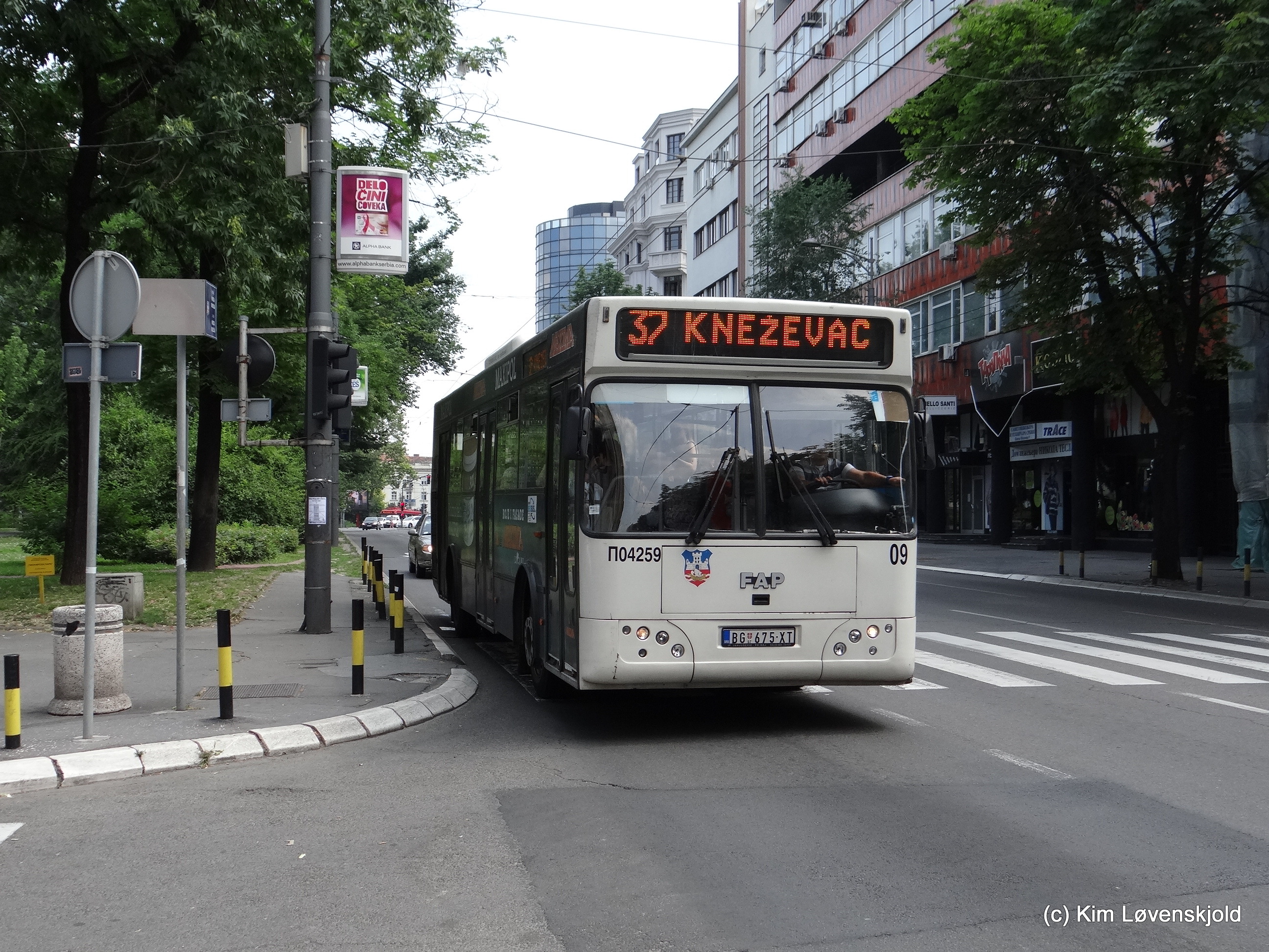 2013' FAP A537