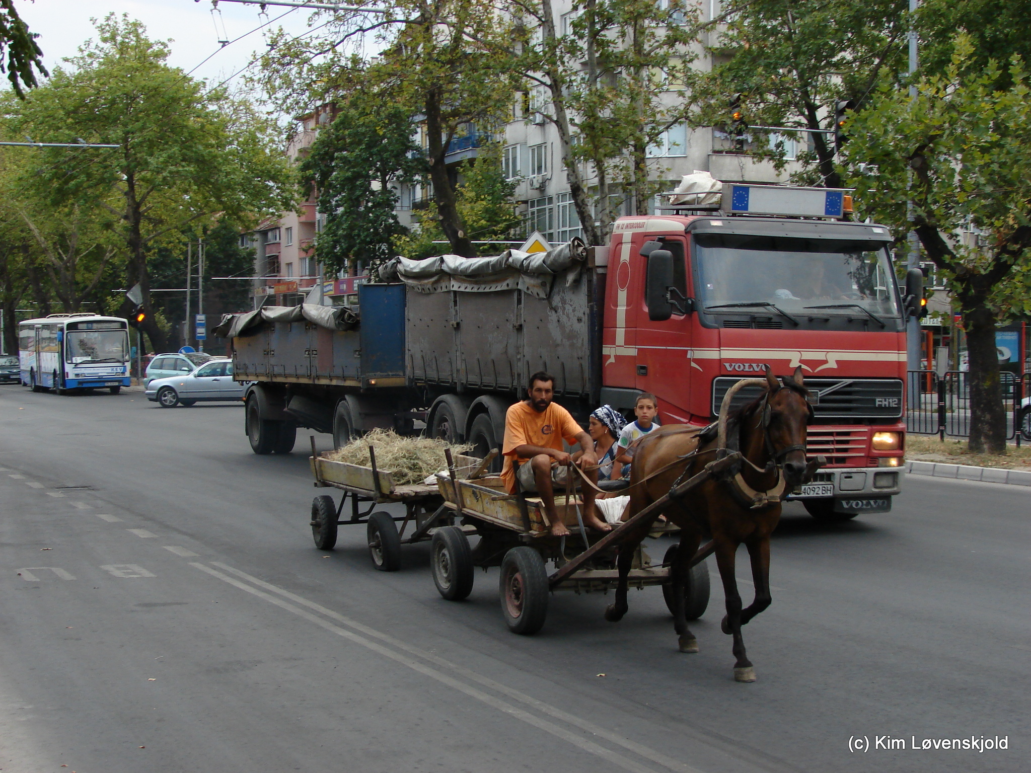 Horse carriage in Bulgaria