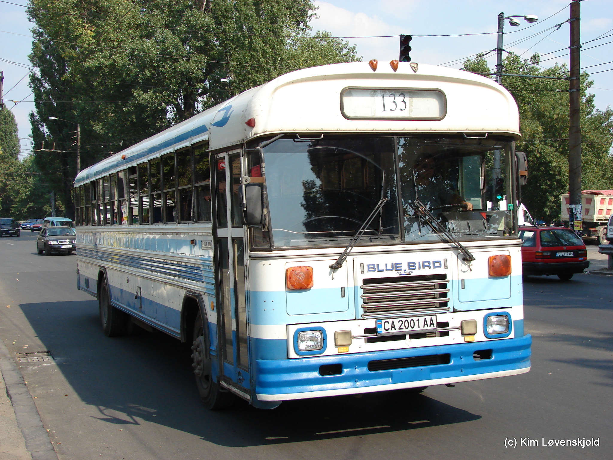 Blue Bird