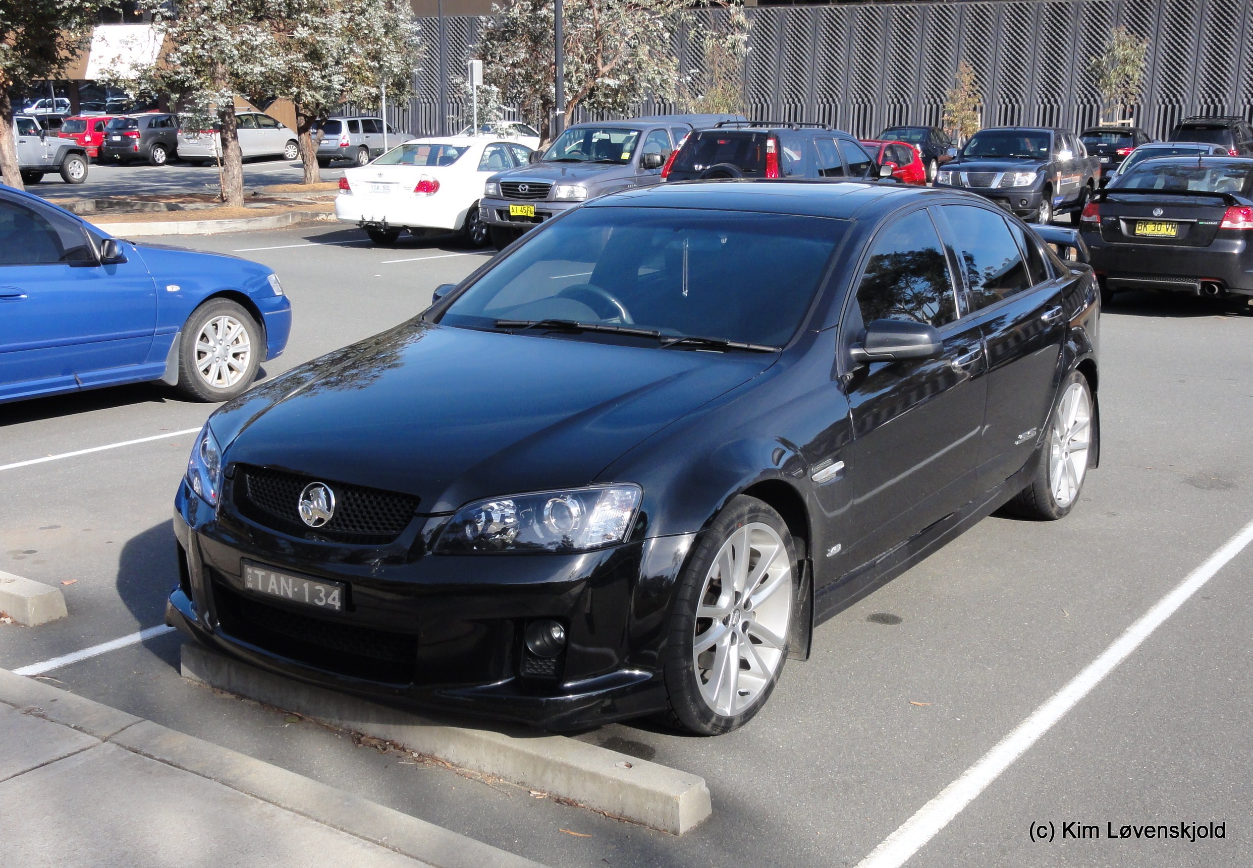 Holden Commodore SS