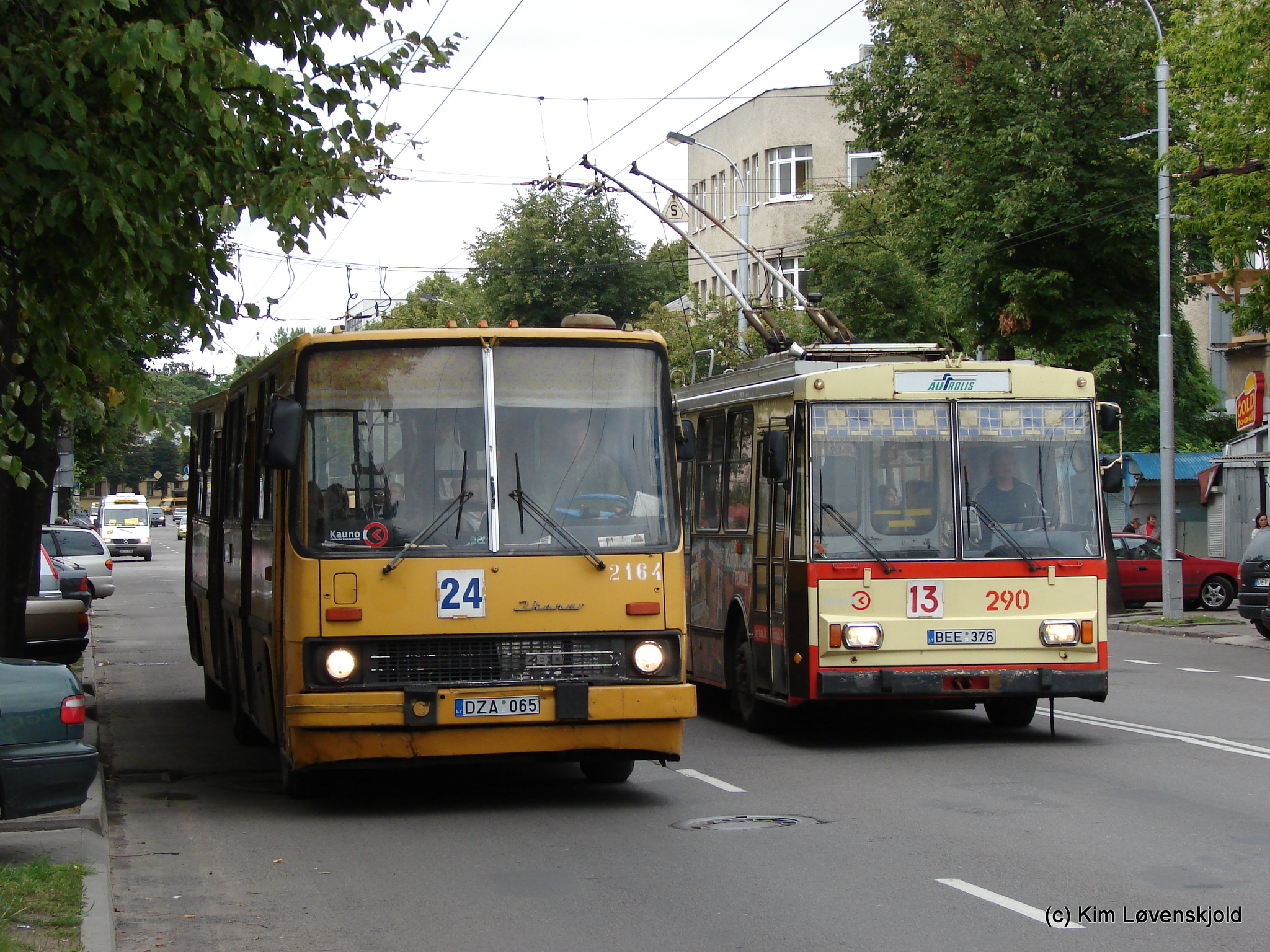 Ikarus 280 & Skoda 14