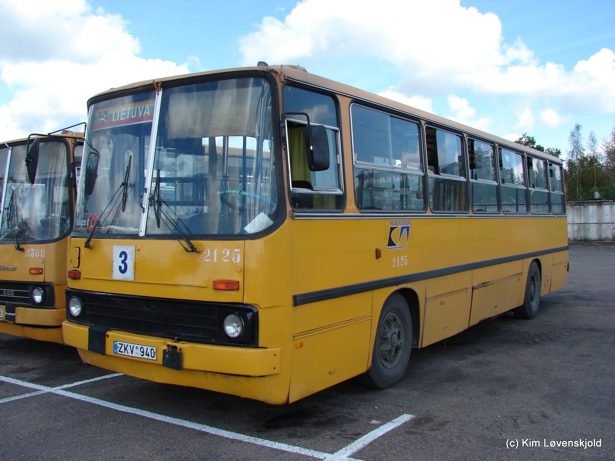 1989' Ikarus 260